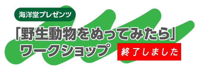 海洋堂プレゼンツ「野生動物をぬってみたら」ワークショップ